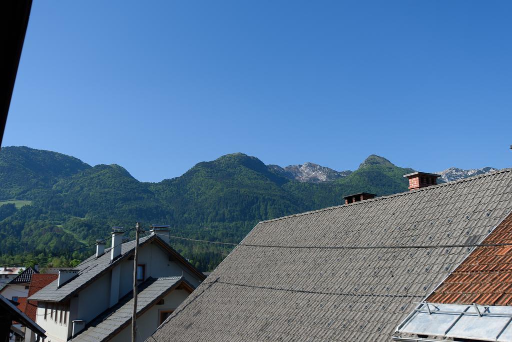 Penzion Vila Bistrica Bed & Breakfast Bohinjska Bistrica Exterior photo