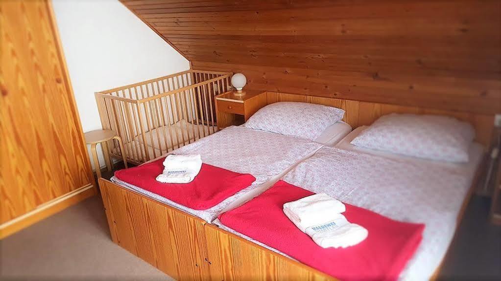 Penzion Vila Bistrica Bed & Breakfast Bohinjska Bistrica Exterior photo