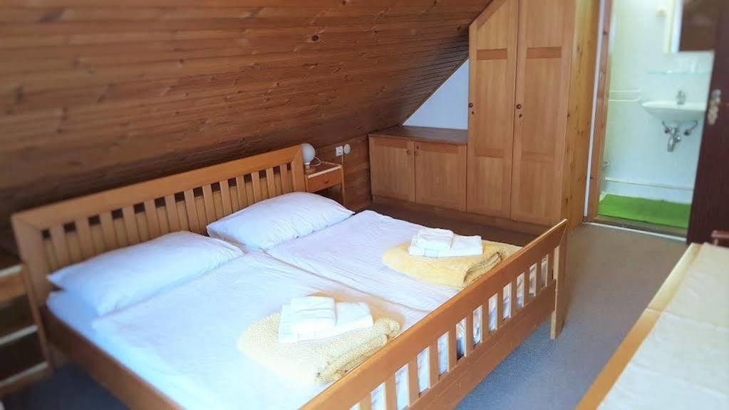 Penzion Vila Bistrica Bed & Breakfast Bohinjska Bistrica Exterior photo